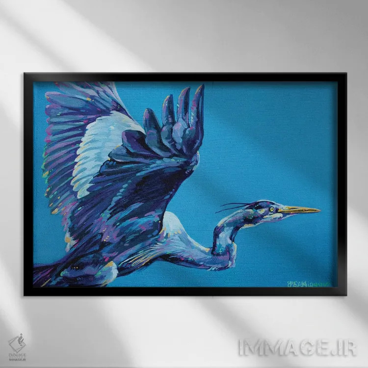 تابلو حواصیل آبی اثر دریک هیگینز - نمای قابدار مشکی