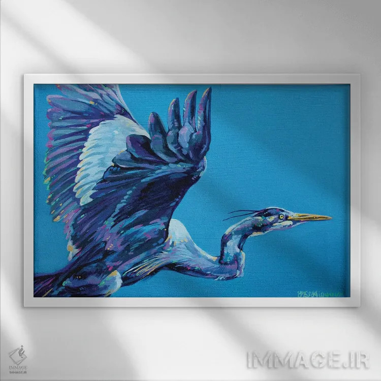 تابلو حواصیل آبی اثر دریک هیگینز - نمای قابدار سفید