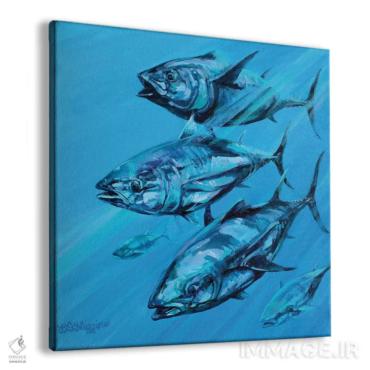تابلو گروه ماهی تن آبی اثر دریک هیگینز - نمای پرسپکتیو محصول