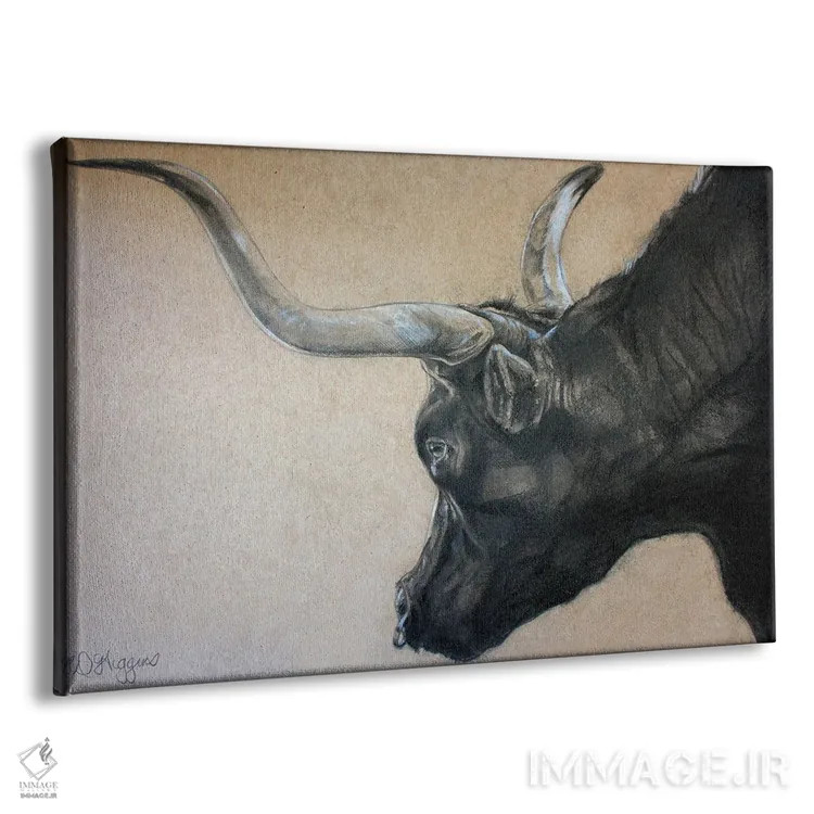 تابلو گاو نر دره رد راک اثر دریک هیگینز - نمای پرسپکتیو محصول