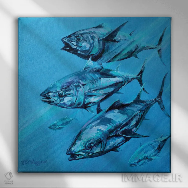 تابلو گروه ماهی تن آبی اثر دریک هیگینز - نمای روبهرو روی دیوار