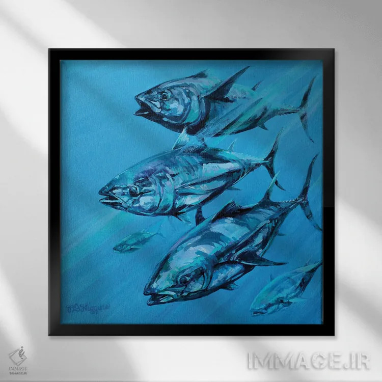 تابلو گروه ماهی تن آبی اثر دریک هیگینز - نمای قابدار مشکی