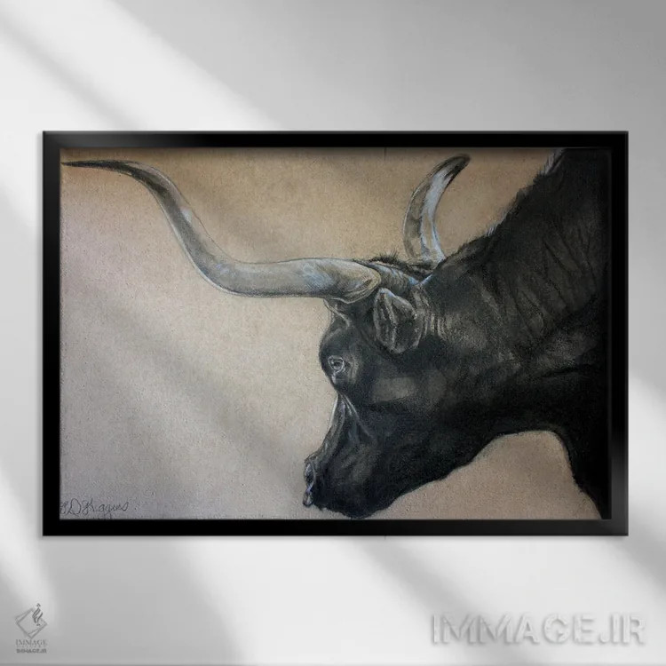 تابلو گاو نر دره رد راک اثر دریک هیگینز - نمای قابدار مشکی