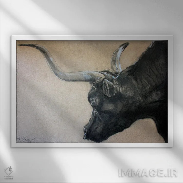تابلو گاو نر دره رد راک اثر دریک هیگینز - نمای قابدار سفید