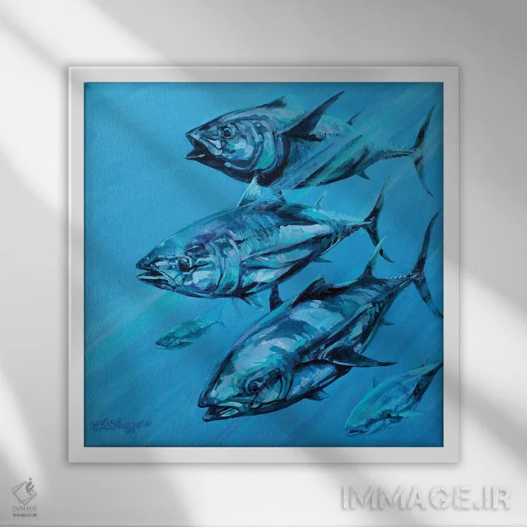 تابلو گروه ماهی تن آبی اثر دریک هیگینز - نمای قابدار سفید