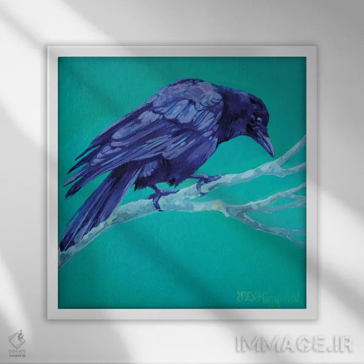 تابلو کلاغ توس اثر دریک هیگینز - نمای قابدار سفید