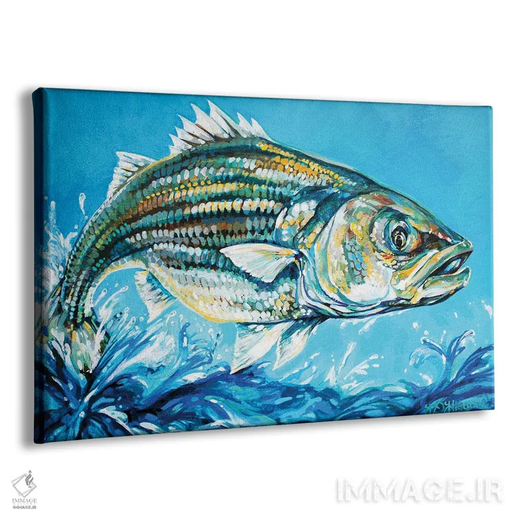 تابلو جَک پرنده بس (ماهی راهراه) اثر دریک هیگینز - نمای پرسپکتیو محصول