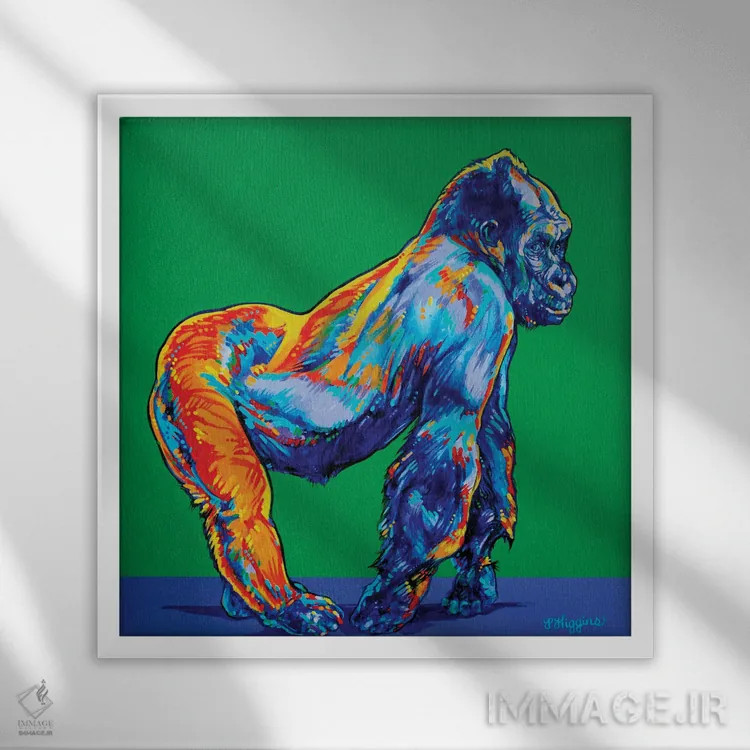 تابلو گوریل اثر دریک هیگینز - نمای قابدار سفید