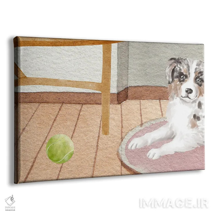 تابلو سگ و توپ تنیس اثر پیج ترنر - نمای پرسپکتیو محصول