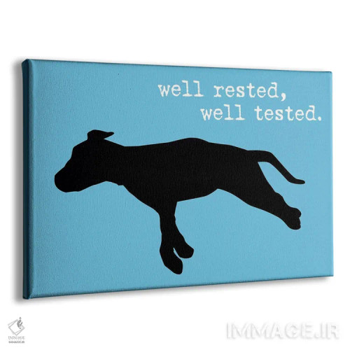 تابلو خواب راحت III اثر داگ ایز گود اند کت ایز گود (برند طراحی) - نمای پرسپکتیو محصول