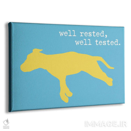 تابلو خواب راحت II اثر داگ ایز گود اند کت ایز گود (برند طراحی) - نمای پرسپکتیو محصول
