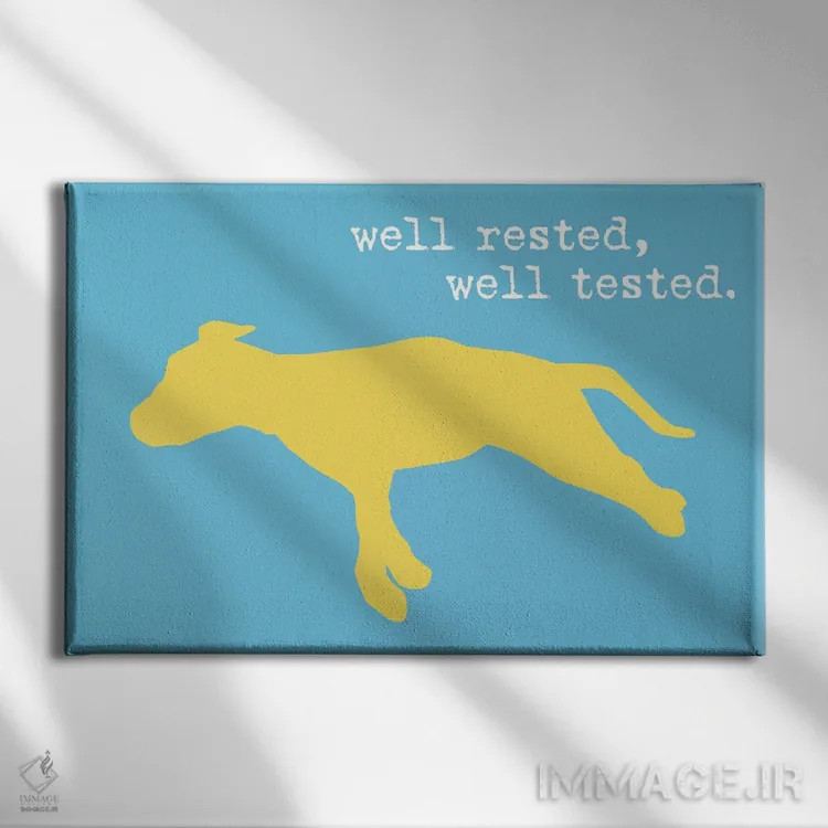 تابلو خواب راحت II اثر داگ ایز گود اند کت ایز گود (برند طراحی) - نمای روبهرو روی دیوار