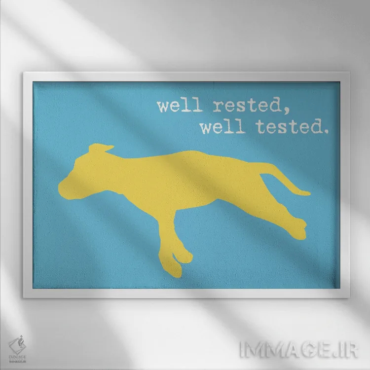 تابلو خواب راحت II اثر داگ ایز گود اند کت ایز گود (برند طراحی) - نمای قابدار سفید