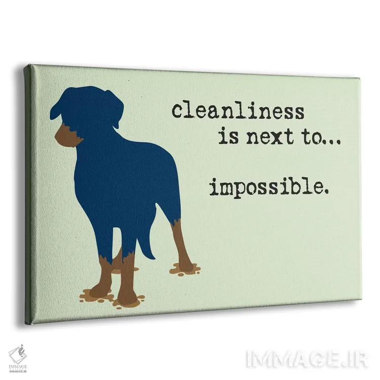 تابلو پاکیزگی اثر داگ ایز گود اند کت ایز گود (برند طراحی) - نمای پرسپکتیو محصول