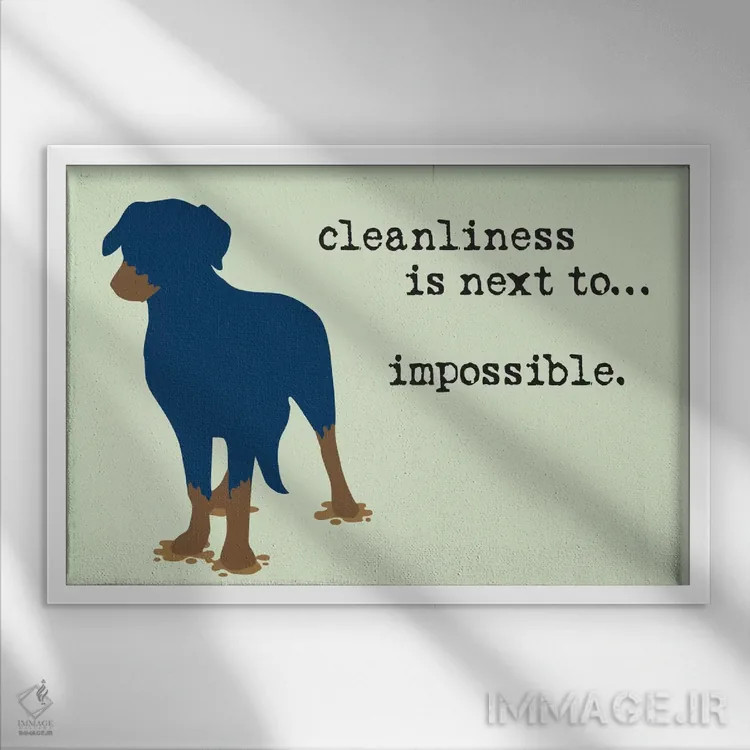 تابلو پاکیزگی اثر داگ ایز گود اند کت ایز گود (برند طراحی) - نمای قابدار سفید