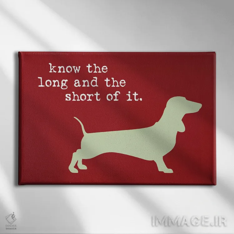 تابلو بلند و کوتاه اثر داگ ایز گود اند کت ایز گود (برند طراحی) - نمای روبهرو روی دیوار