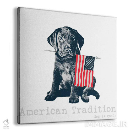 تابلو سنت آمریکایی اثر داگ ایز گود اند کت ایز گود (برند طراحی) - نمای پرسپکتیو محصول