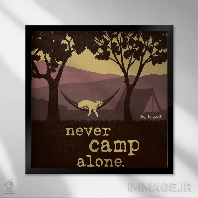 تابلو هرگز تنها کمپ نزن II اثر داگ ایز گود اند کت ایز گود (برند طراحی) - نمای قابدار مشکی