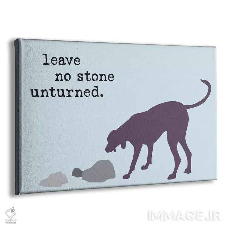 تابلو هیچ سنگی اثر داگ ایز گود اند کت ایز گود (برند طراحی) - نمای پرسپکتیو محصول