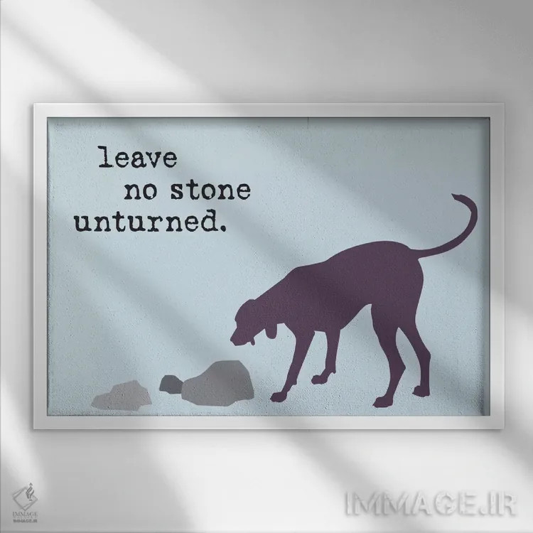 تابلو هیچ سنگی اثر داگ ایز گود اند کت ایز گود (برند طراحی) - نمای قابدار سفید