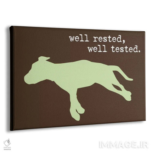 تابلو کاملاً استراحت کرده I اثر داگ ایز گود اند کت ایز گود (برند طراحی) - نمای پرسپکتیو محصول