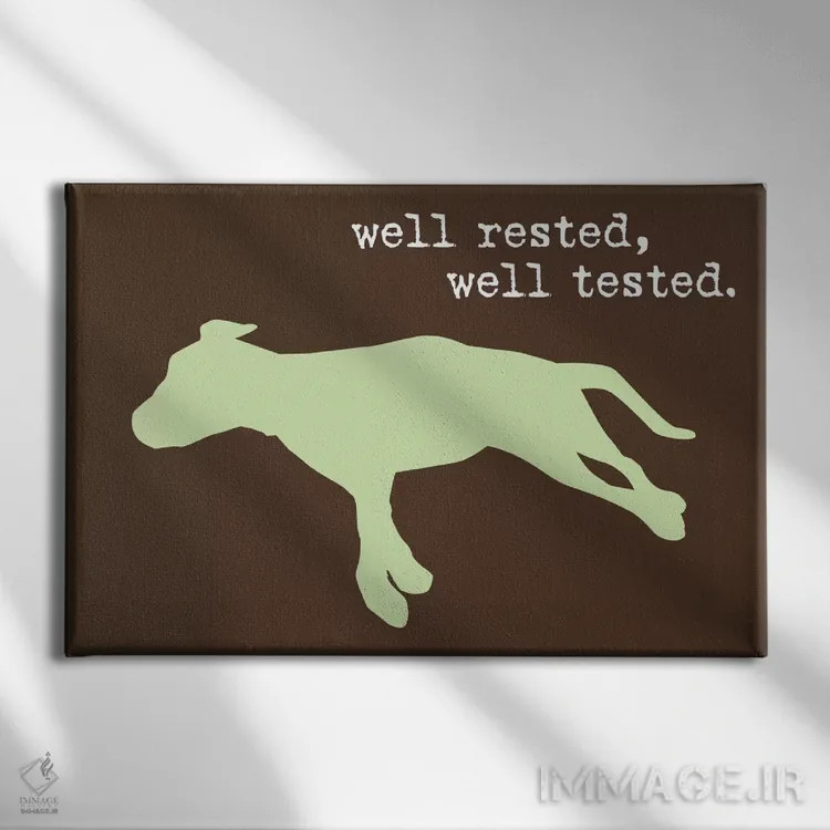 تابلو کاملاً استراحت کرده I اثر داگ ایز گود اند کت ایز گود (برند طراحی) - نمای روبهرو روی دیوار