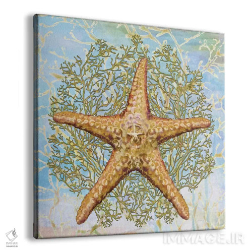 تابلو ترکیب صدفها II اثر دیانآرت (نام هنری) - نمای پرسپکتیو محصول