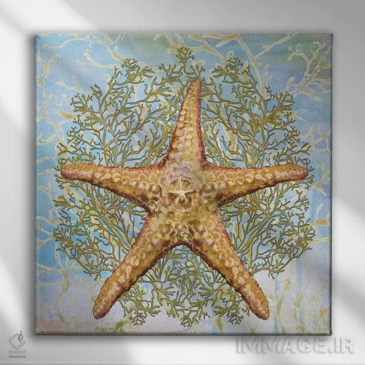 تابلو ترکیب صدفها II اثر دیانآرت (نام هنری) - نمای روبهرو روی دیوار