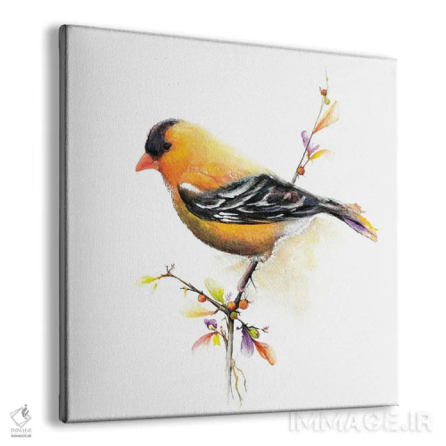 تابلو چیکدی با آبرنگ III (نوعی پرنده) اثر دیانآرت (نام هنری) - نمای پرسپکتیو محصول