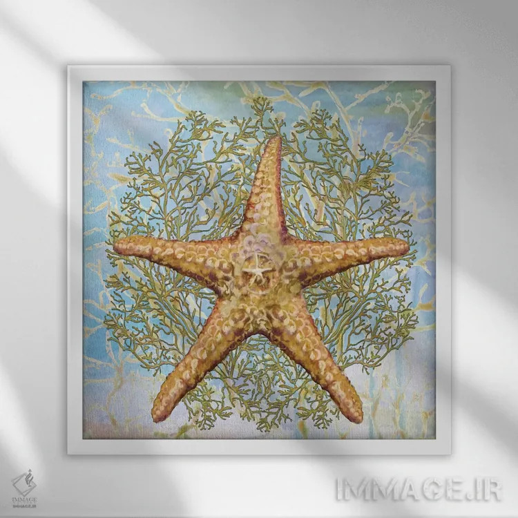 تابلو ترکیب صدفها II اثر دیانآرت (نام هنری) - نمای قابدار سفید