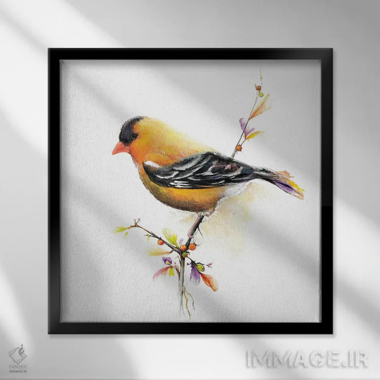 تابلو چیکدی با آبرنگ III (نوعی پرنده) اثر دیانآرت (نام هنری) - نمای قابدار مشکی