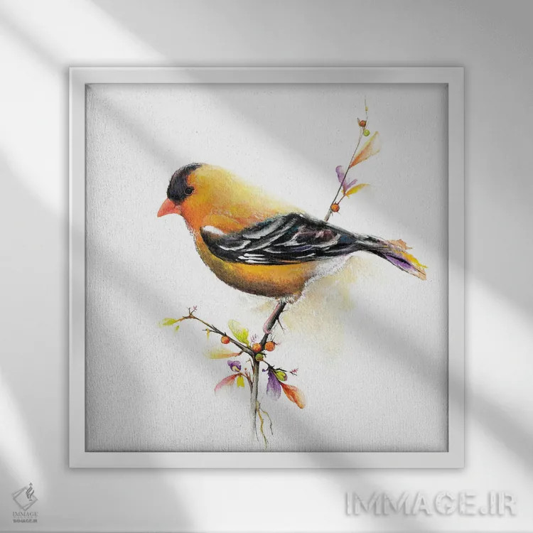 تابلو چیکدی با آبرنگ III (نوعی پرنده) اثر دیانآرت (نام هنری) - نمای قابدار سفید