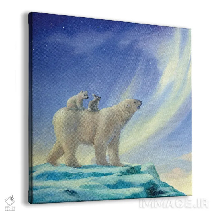 تابلو ایزابل و شفق قطبی اثر دیوید جواکین - نمای پرسپکتیو محصول