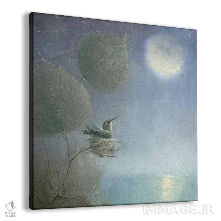 تابلو ماه مرغ مگسخوار اثر دیوید جواکین - نمای پرسپکتیو محصول