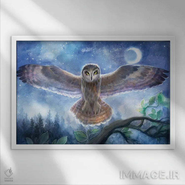 تابلو جغد روحانی اثر دیوید جواکین - نمای قابدار سفید