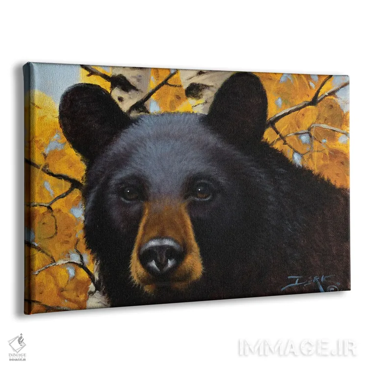 تابلو کنجکاوی اثر درک هانسن - نمای پرسپکتیو محصول