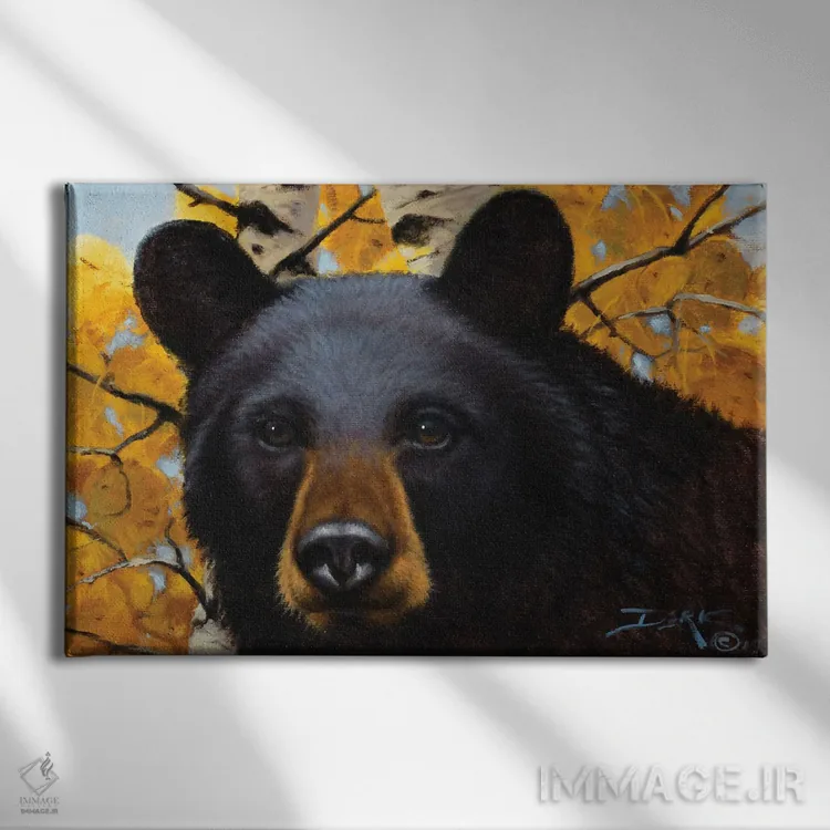 تابلو کنجکاوی اثر درک هانسن - نمای روبهرو روی دیوار