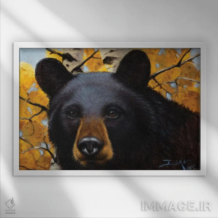 تابلو کنجکاوی اثر درک هانسن - نمای قابدار سفید