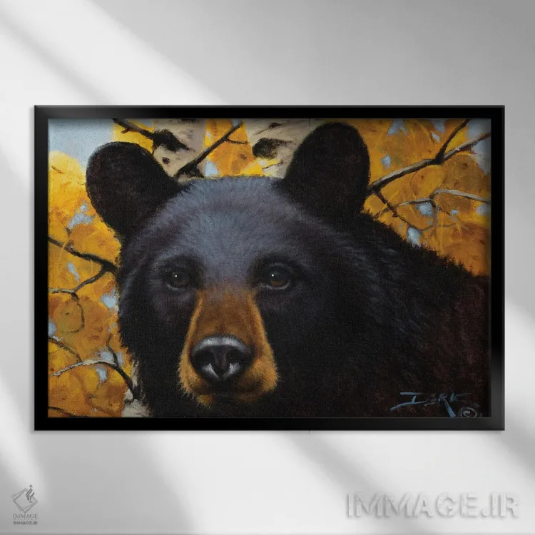 تابلو کنجکاوی اثر درک هانسن - نمای قابدار مشکی