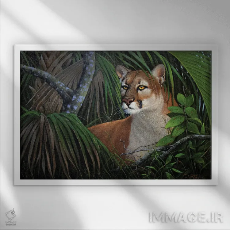 تابلو شاهزاده مردابهای همیشهسبز اثر درک هانسن - نمای قابدار سفید