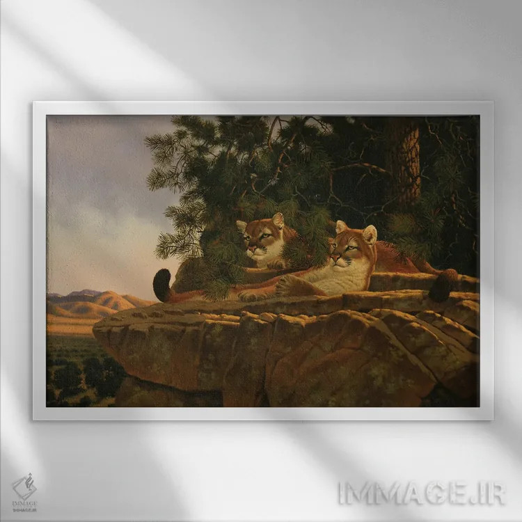 تابلو رعد دوردست اثر درک هانسن - نمای قابدار سفید