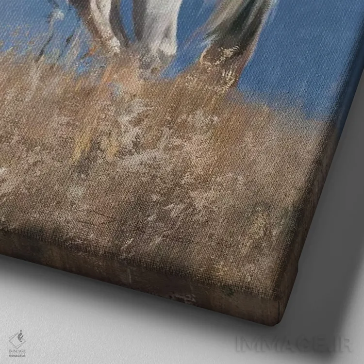 تابلو در ارتفاعات جلگهها اثر دیوید ادوارد کوسرا - نمای نزدیک بافت بوم