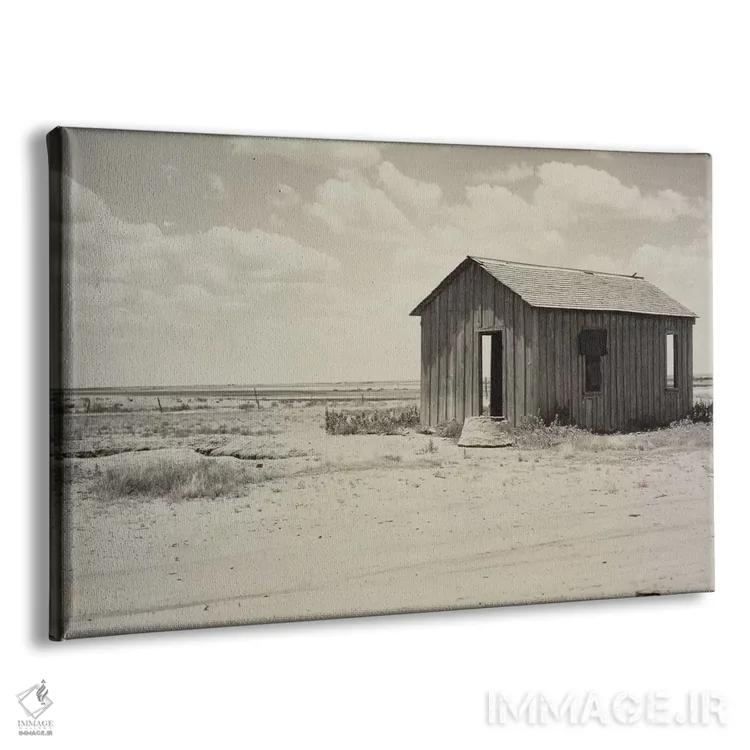 تابلو خانهٔ متروکه به علت خشکسالی در حاشیه دشتهای بزرگ، هالیس، اوکلاهما، آمریکا اثر دوروتیا لنگ (عکاس مستند آمریکایی) - نمای پرسپکتیو محصول
