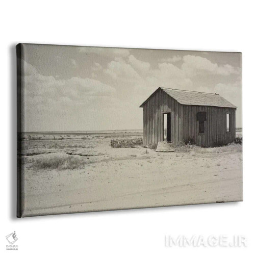 تابلو خانهٔ متروکه به علت خشکسالی در حاشیه دشتهای بزرگ، هالیس، اوکلاهما، آمریکا اثر دوروتیا لنگ (عکاس مستند آمریکایی) - نمای پرسپکتیو محصول