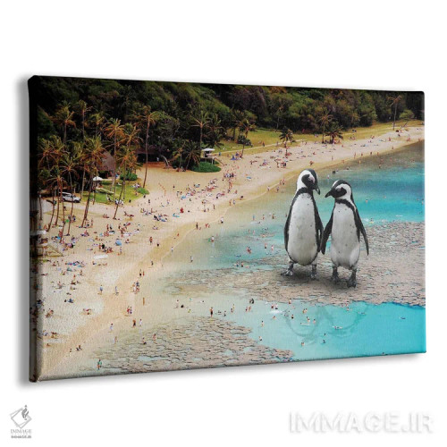 تابلو پنگوئنها در ساحل اثر دیوید لوبلاو - نمای پرسپکتیو محصول