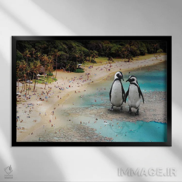 تابلو پنگوئنها در ساحل اثر دیوید لوبلاو - نمای قابدار مشکی