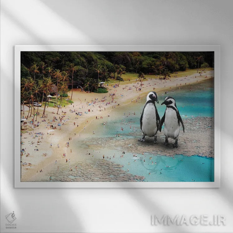 تابلو پنگوئنها در ساحل اثر دیوید لوبلاو - نمای قابدار سفید