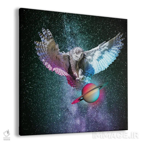 تابلو مجسمهٔ پوشیده (ابهام: sature شاید اشتباه املایی statue باشد) اثر دیوید لوبلاو - نمای پرسپکتیو محصول