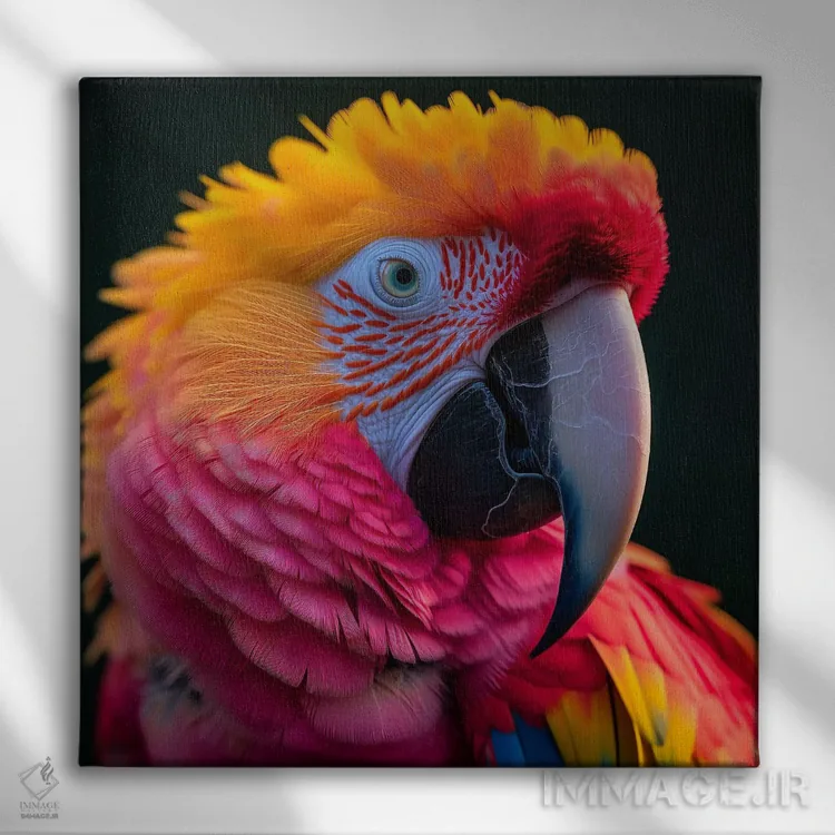 تابلو طوطی بیشفعال (هایپر) اثر دیوید لوبلاو - نمای روبهرو روی دیوار