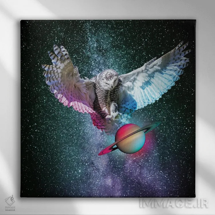 تابلو مجسمهٔ پوشیده (ابهام: sature شاید اشتباه املایی statue باشد) اثر دیوید لوبلاو - نمای روبهرو روی دیوار